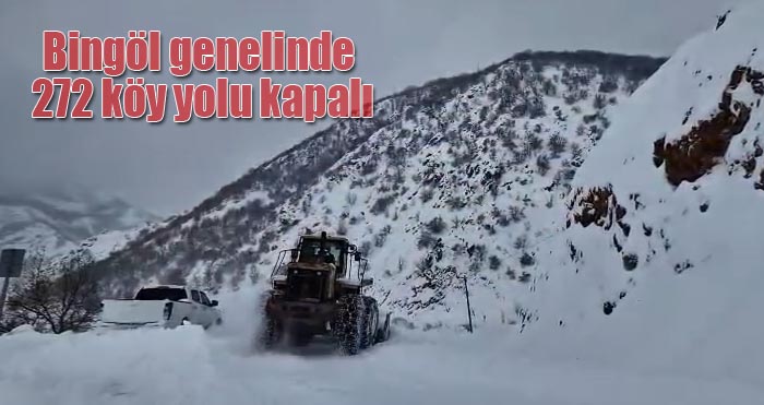 Bingöl'de 272 köy yolu ulaşıma kapalı