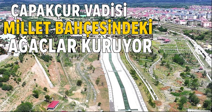 Çapakçur Vadisi Millet Bahçesindeki ağaçlar kurumaya başladı