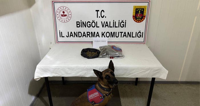 Bingöl'de jandarmadan huzur operasyonu: 4 firari hükümlü yakalandı