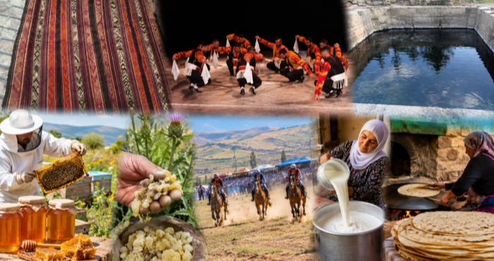 Bingöl’de Divan Geleneği için envanter kararı alındı